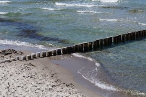 Angeln in Thüringen Darf ich ohne Angelschein fischen?