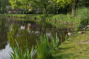 Der Angelschein in Niedersachsen befähigt zum Fischen in allen Gewässern.