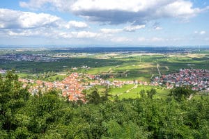 Hier finden Sie einen passenden Anwalt für Verkehrsrecht in Neustadt!