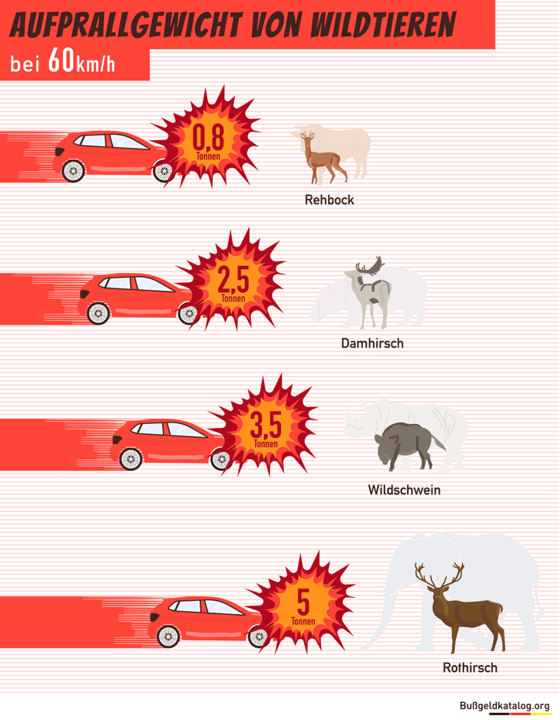 Die Grafik veranschaulicht das Gewicht, mit dem verschieden große Wildtiere auf ein Auto mit einer Geschwindigkeit von 60 Kilometer pro Stunde aufprallen.