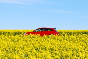 Mit dem Baby bei Hitze autofahren: Darauf müssen Sie achten