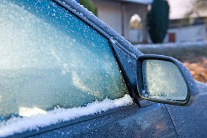 Den Motor laufen lassen - Natur- & Umweltschutz 2024