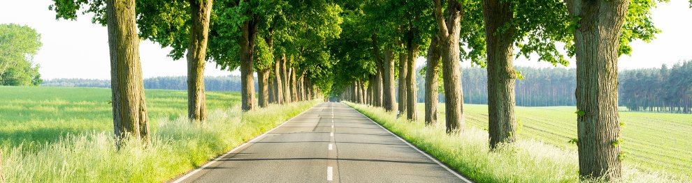 Welche Bußgelder auf der Landstraße drohen