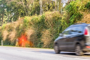 Fahrradträger in Dänemark - Bußgelder aus dem Ausland 2024