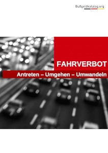 e-Book Fahrverbot antreten, umgehen, umwandeln