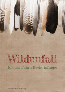 e-Book Fahrerflucht bei Wildunfall