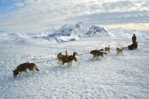 Die Einreise nach Schweden mit dem Auto kann viel Fahrerei bedeuten - vor allem für jene, die in den hohen Norden wollen.