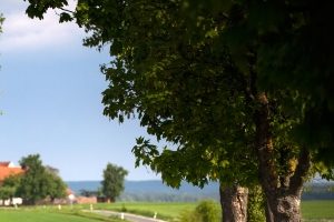 Die Euro-2-Plakette ist nach der gelben und grünen für recht hohe Schadstoffe festgelegt worden.