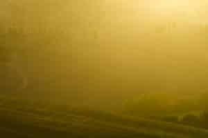 Was müssen Autofahrer zum Fahren bei Nebel wissen?