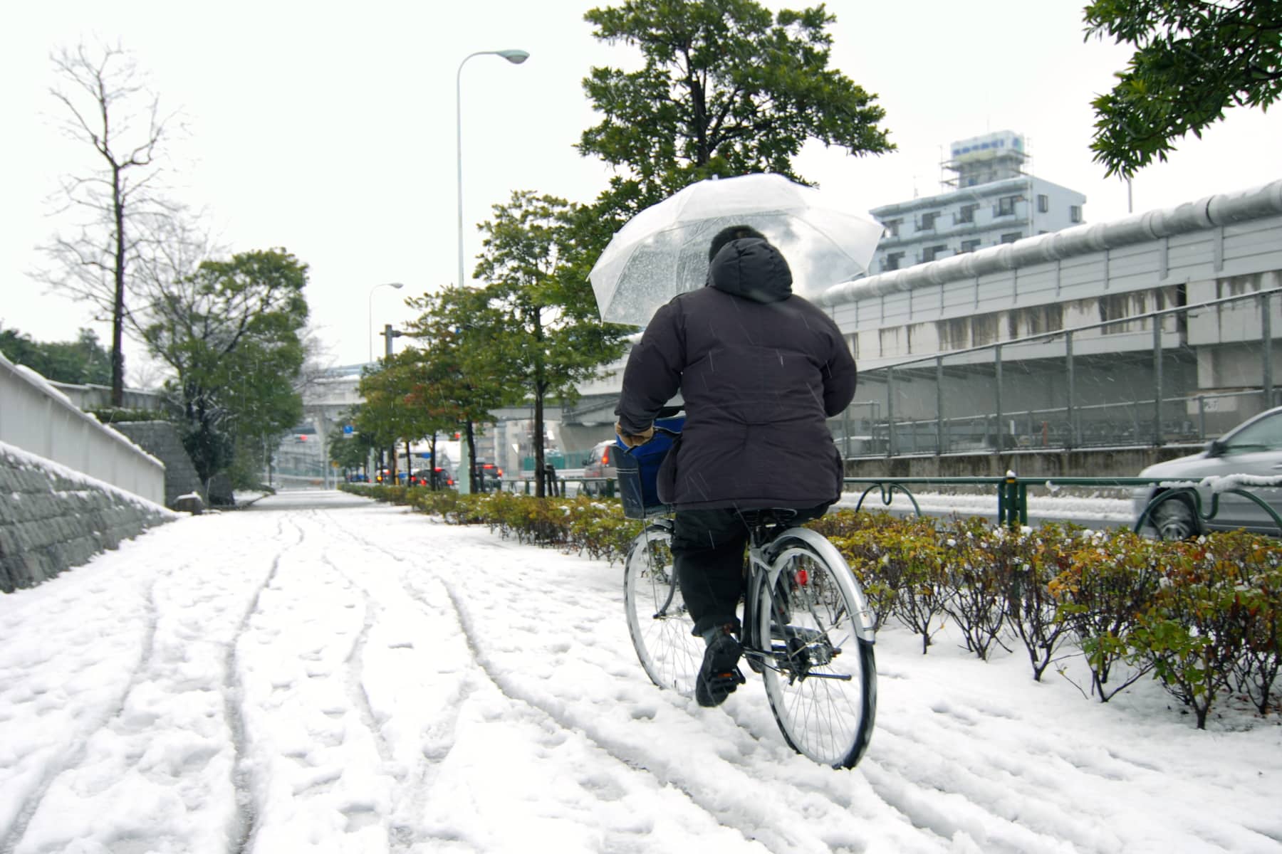 fahrradständer für breite reifen Fahrradständer Solid