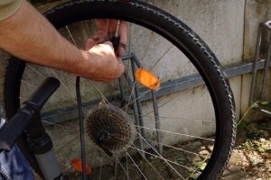 Fahrradschlauch hinten flicken ohne Radausbau: Geht das?