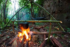 Illegal Feuer machen im Wald ist sehr gefährlich und kann zu Waldbränden führen