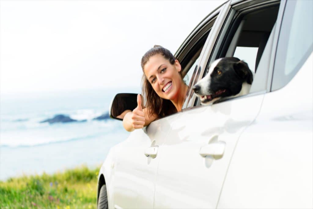 Sicherer im als am Auto: Mit dem Hund Gassi zu fahren ist verboten.