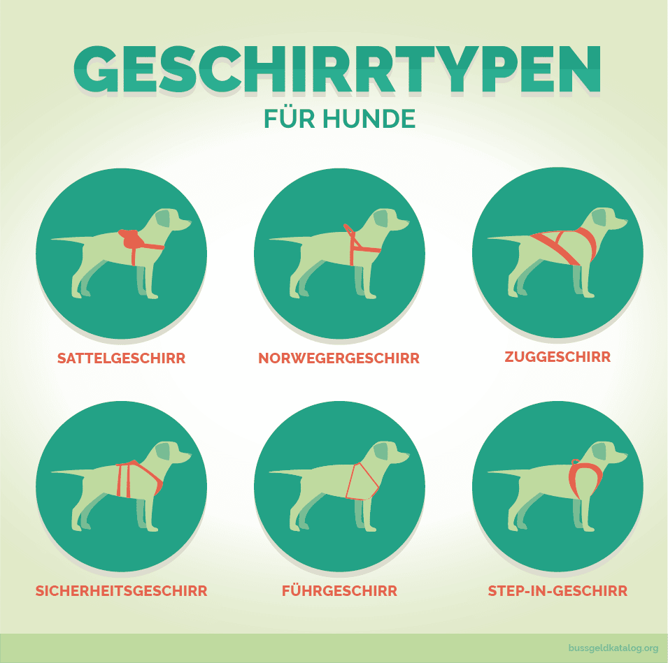 status kæde Specialist Hund am Fahrrad führen: So klappt's! Fahrradfahren mit Hunden