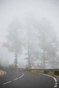 Vorgaben zur Geschwindigkeit: Fürs Fahren bei Nebel ist das Tempo zu reduzieren.