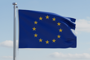 Kritik am EU-Gesetz: Das Verbrennerverbot wird teils heftig beanstandet.