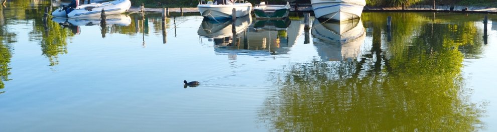 Ist Angeln ohne Angelschein in Brandenburg erlaubt?