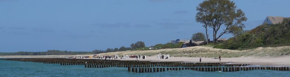 Angeln ohne Angelschein in MV (Mecklenburg-Vorpommern)