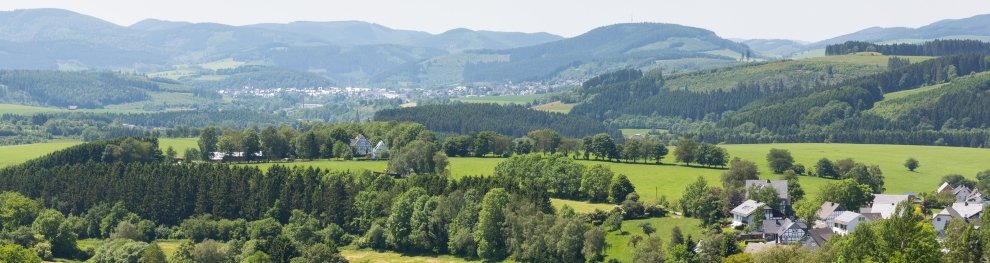 Photovoltaik und Solarthermie: Das müssen Sie über Solarenergie wissen