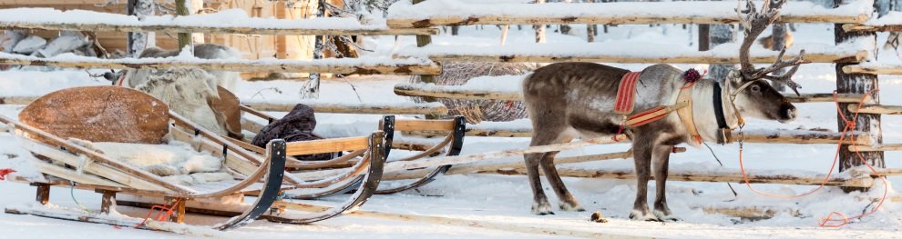 Tempolimit in Finnland: Welche Höchstgeschwindigkeit gilt?