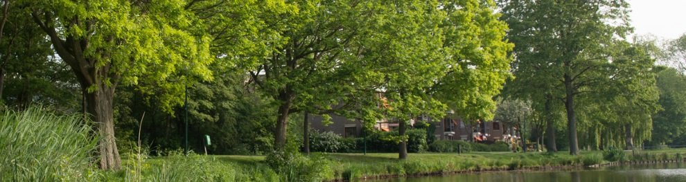 Hecke unerlaubt schneiden: Aktuelle Bußgeldtabelle