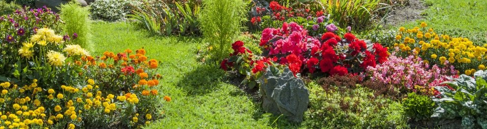 Erdaushub und Gartenabfälle richtig entsorgen