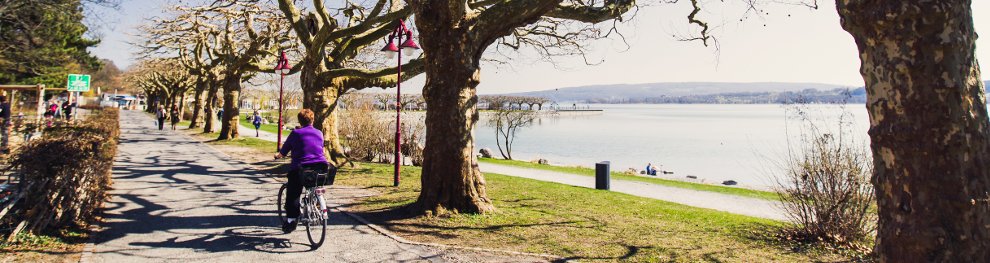 Parkordnung nicht beachtet: Wann drohen Bußgelder?