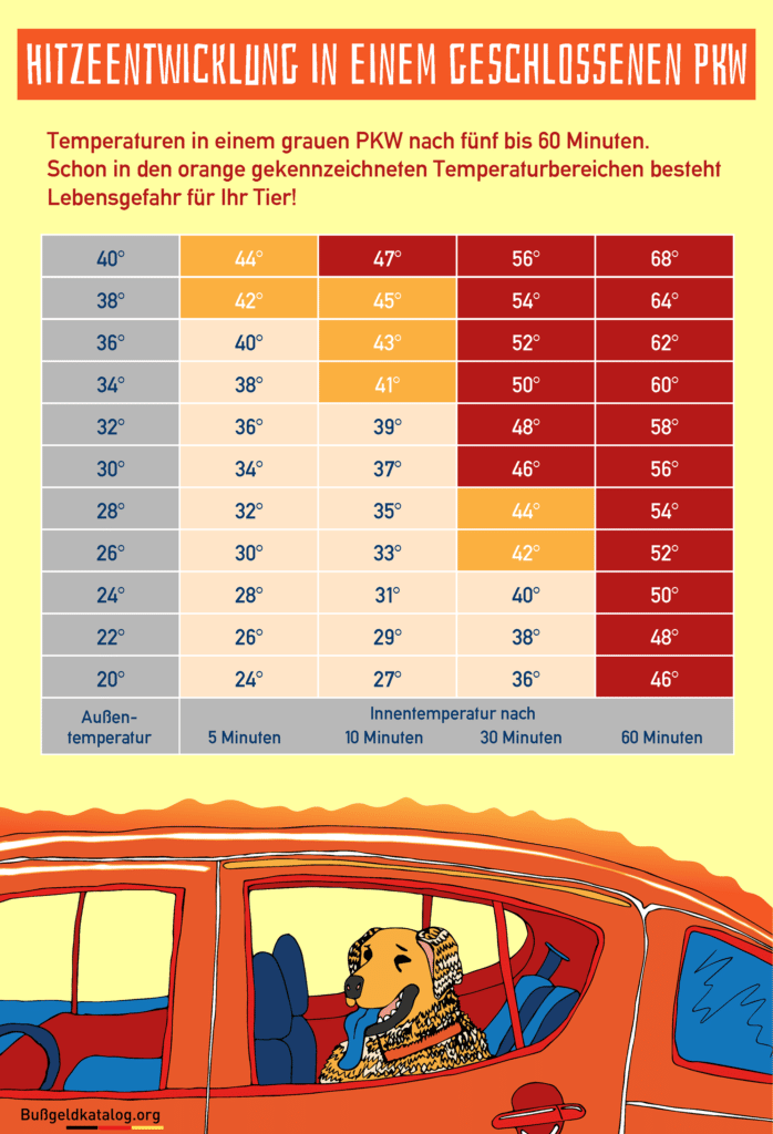 Hitzschlag bei Tieren: Temperaturen im Auto sind der Ausschlaggeber