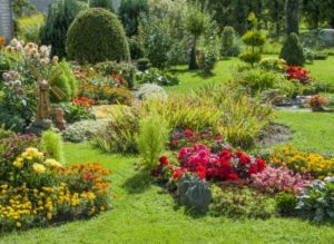 Der Hummelschutz kann im eigenen Garten beginnen