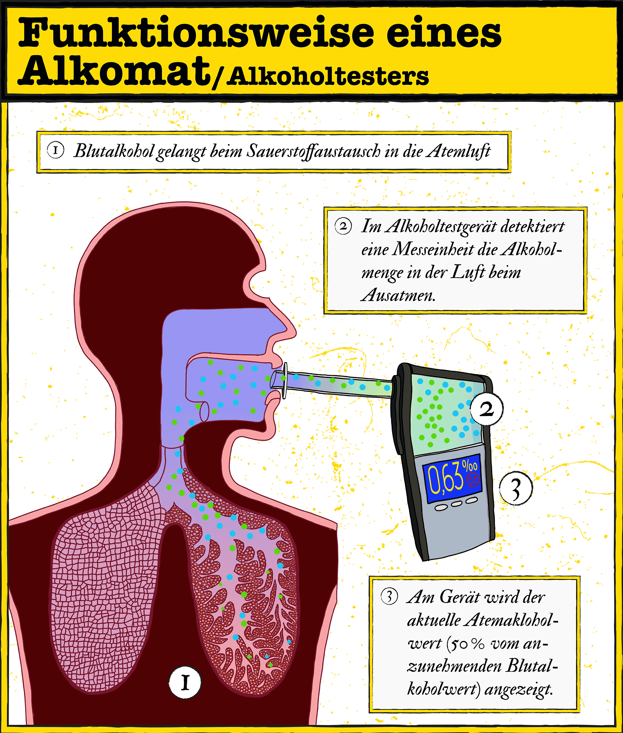 Atemalkoholkonzentration - Alkohol und Drogen 2024