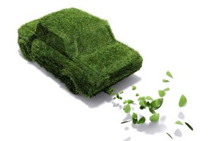 Der Klimawandel kann durch Klimaschutz nur noch abgeschwächt aber nicht mehr verhindert werden. Naturschutz und Energieeffizienz können helfen.