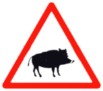 Verkehrszeichen in Kroatien: Achtung Wildschweine