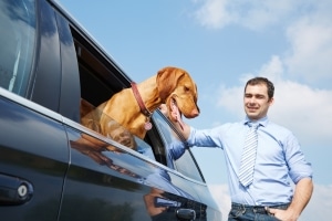 Ein kurioses Bußgeld droht Faulpelzen, wenn sie ihren Hund aus dem Auto Gassi gehen lassen.