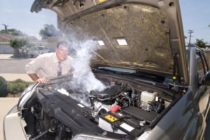 Das Ziel, den Marder zu vertreiben, rührt meist daher, dass er die Kabel im Auto anknabbert