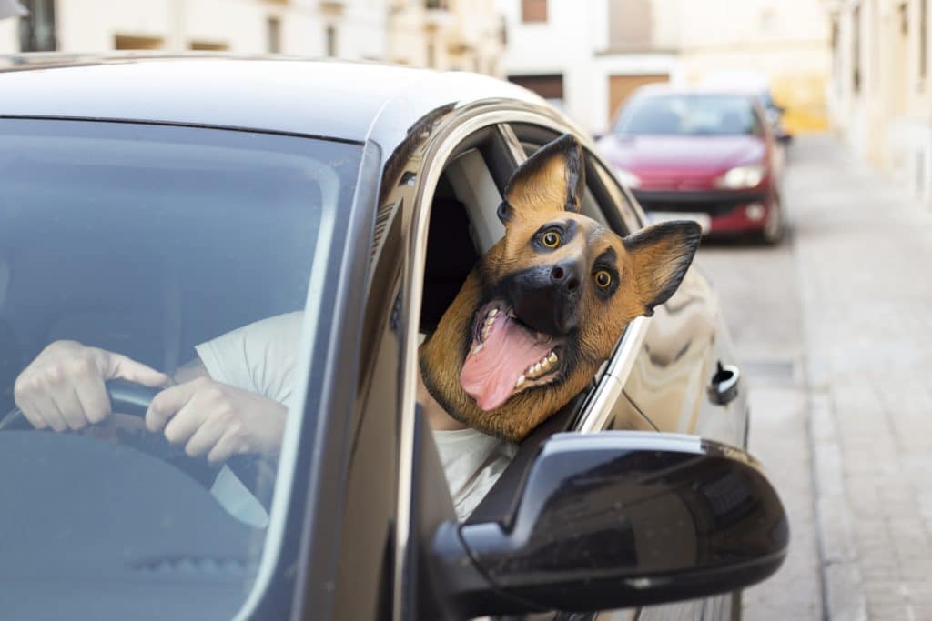 Droht eine Strafe für das Tragen einer Maske beim Autofahren?