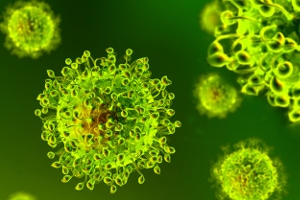 Die Meldepflicht ist ein wesentliches Instrument im Infektionsschutz. Sie gilt inzwischen auch für Corona, genauer für den Virus SARS-CoV-2.