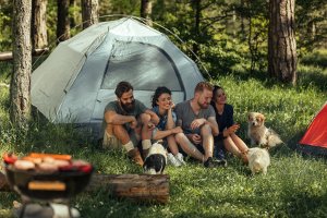 Auch im Naturschutzgebiet und in Nationalparks ist Wild-Campen nicht erlaubt