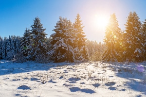 Ein plötzlicher Wintereinbruch erfordert es, dass Sie Ihr Auto schnell winterfest machen.