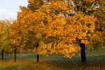 Es gibt keinen Grund, aufs Radfahren im Herbst zu verzichten.