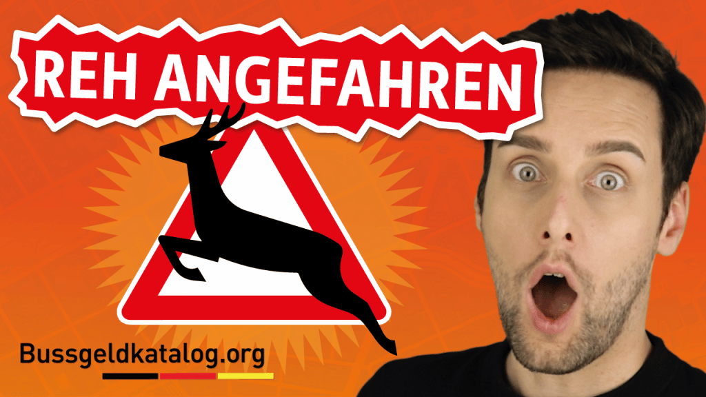 Alles Wichtige zum Thema "Reh angefahren" finden Sie auch in unserem Video.