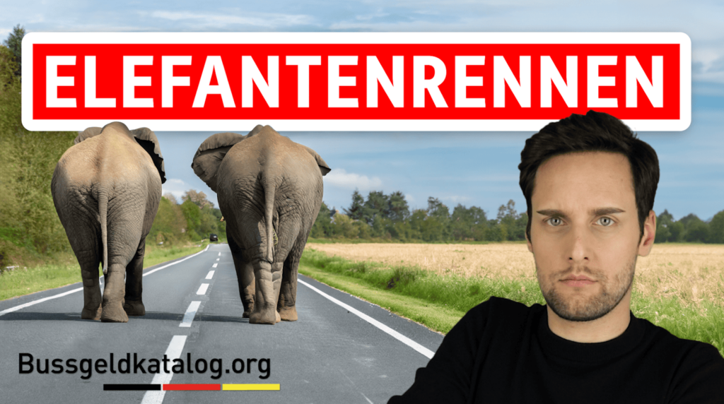 In diesem Video erfahren sie mehr über das Thema: Elefantenrennen!
