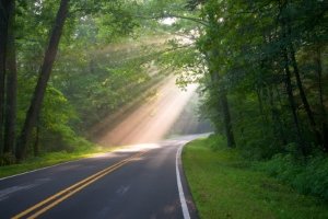 Die Verkehrsregeln in Schweden sollten stets eingehalten werden.