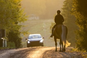 Bei einem Verkehrsunfall mit einem Pferd wird unter anderem die typische Tiergefahr berücksichtigt.