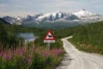 Verkehrszeichen in Norwegen warnen oft vor Elchen. Autofahrer sollten diese Warnungen immer beachten.