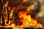 Waldbrandgefahr durch geparkte Autos Beitragsbild