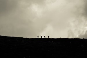 Wandern im Naturschutzgebiet: Droht ein Bußgeld?