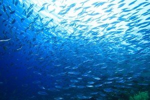 Wasser Sparen Tipps Tricks Energie Umwelt 2021