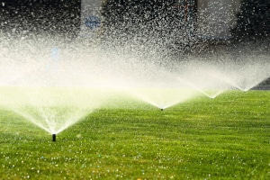 Wegen Wasserknappheit ist es in einigen Kommunen untersagt, Grünflächen zu sprengen und Pools bzw. Planschbecken zu befüllen.