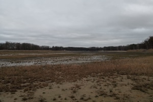 Aufgrund der anhaltenden Trockenheit herrscht teilweise Wassernotstand in Deutschland.