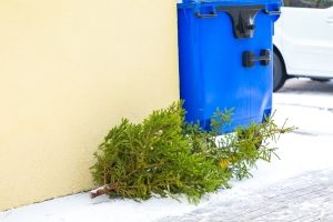 Dürfen Sie einen Weihnachtsbaum am Abschleppseil hinter Ihrem Auto herziehen?